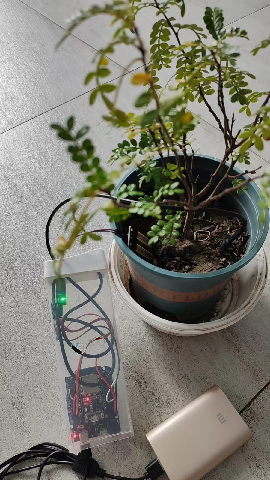 AI 种植智能体
